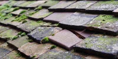 Capel Seion roof repair costs